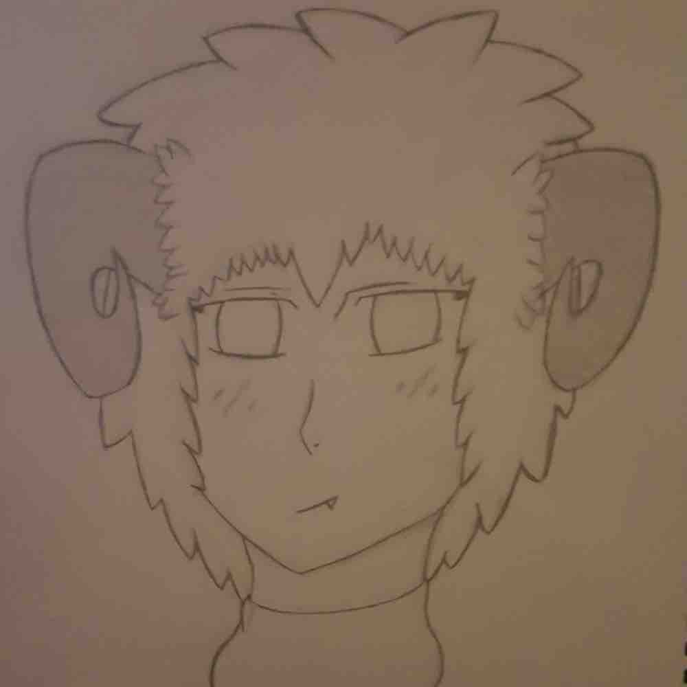 Pencil drawing of a sheep boy OC